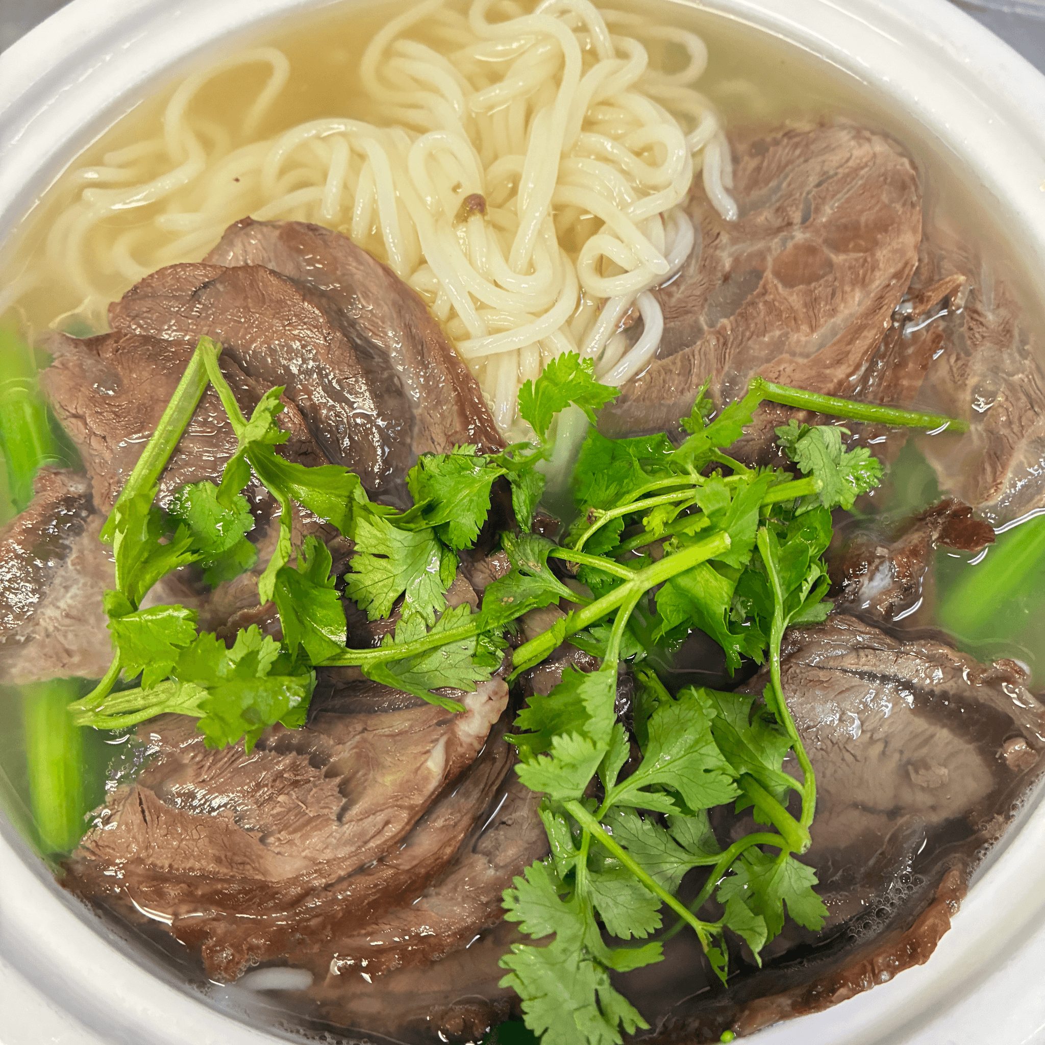 Noodle with Stew Beef Soup 红烧牛肉面.
