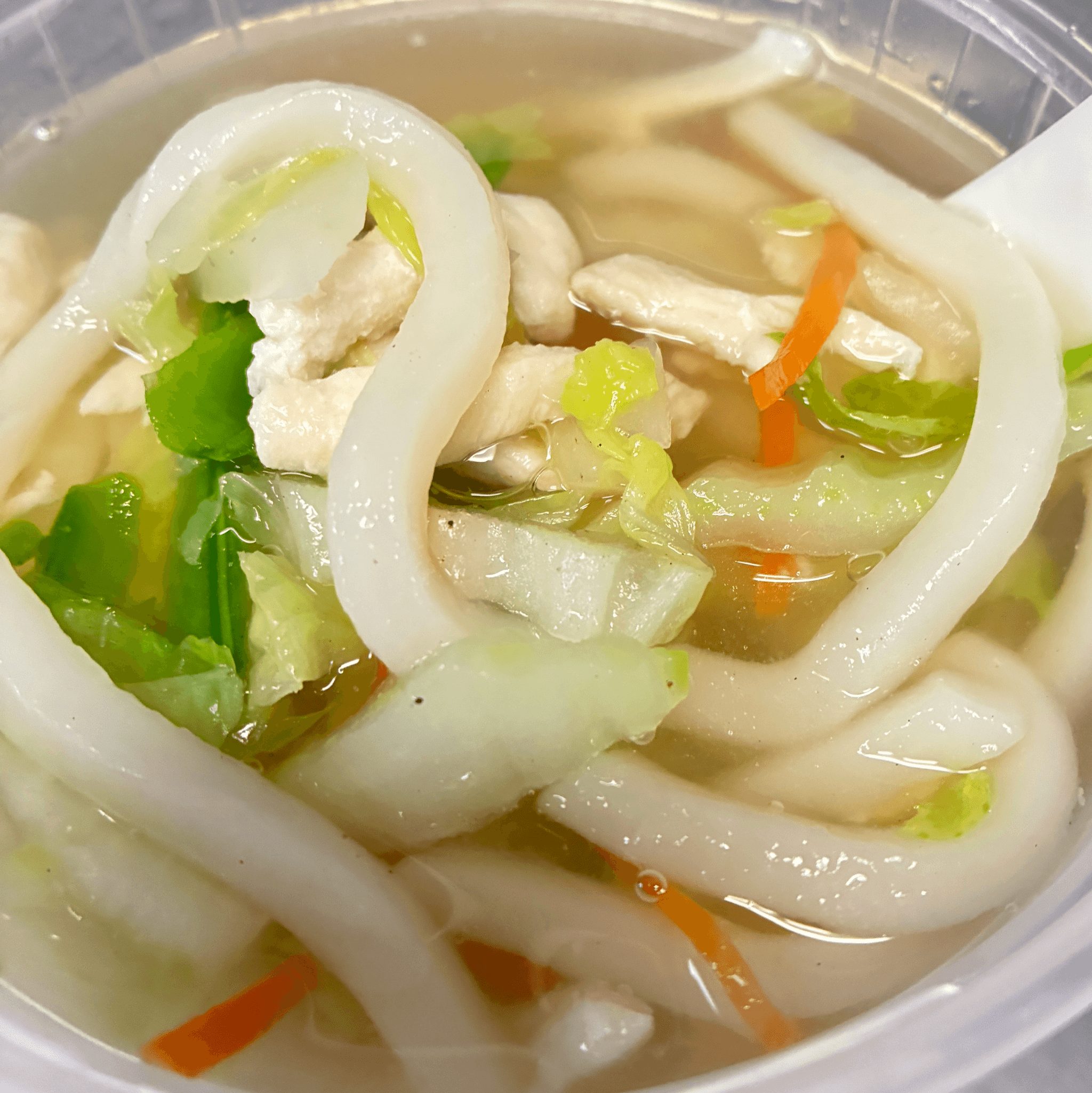 Chicken Udon Soup.