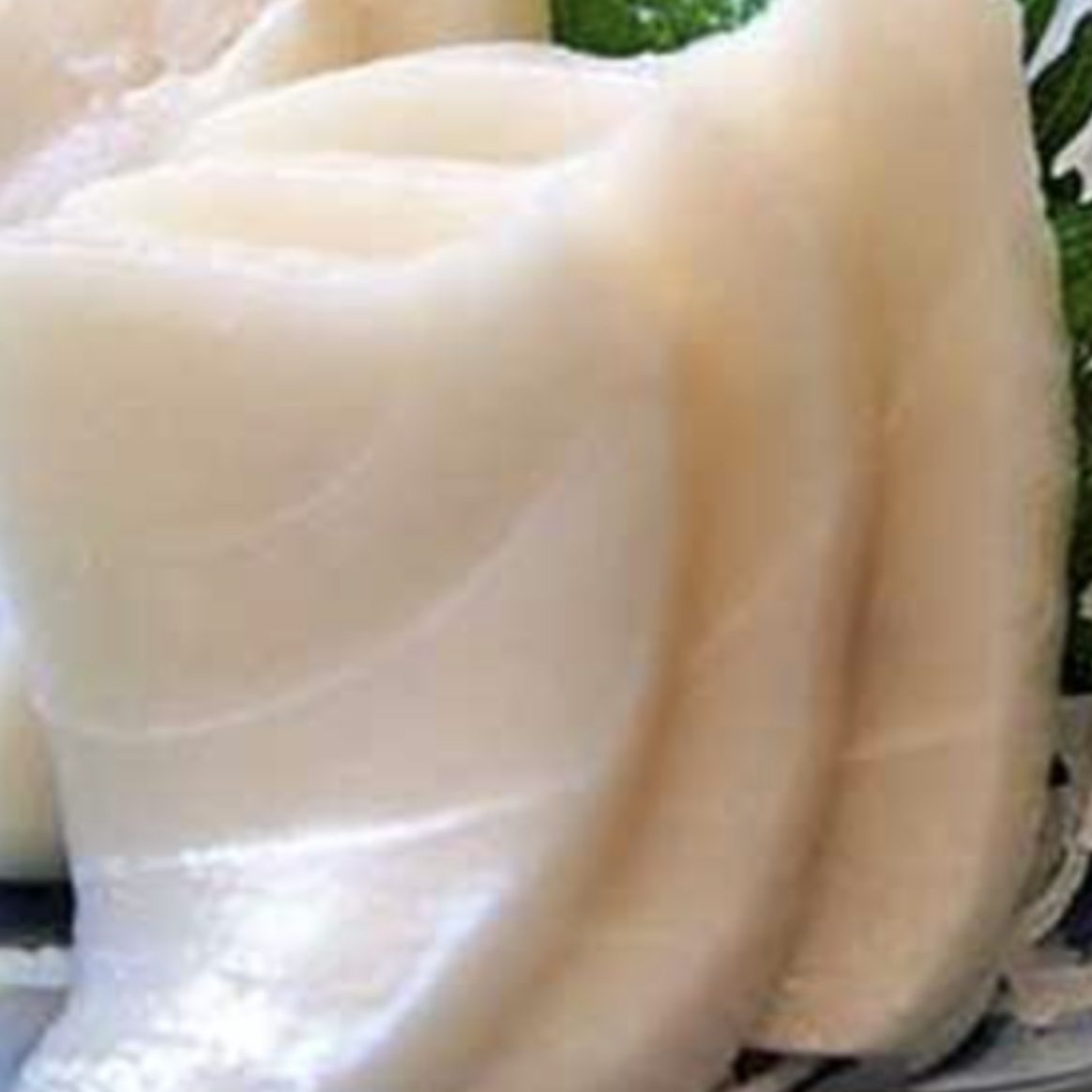 Super White Tuna Sashimi.