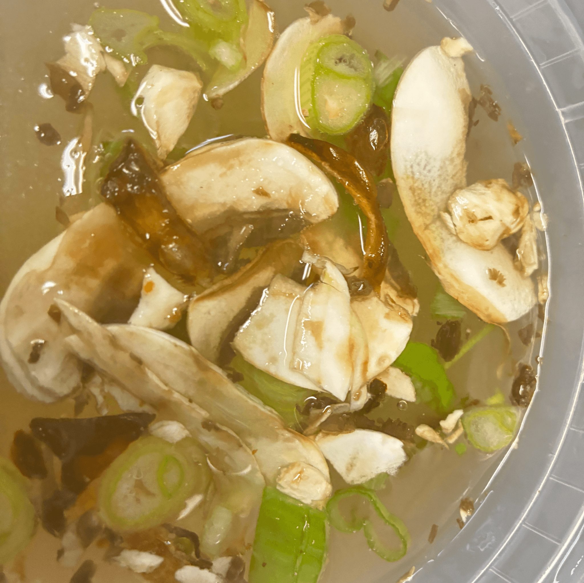 Mushroom Soup.