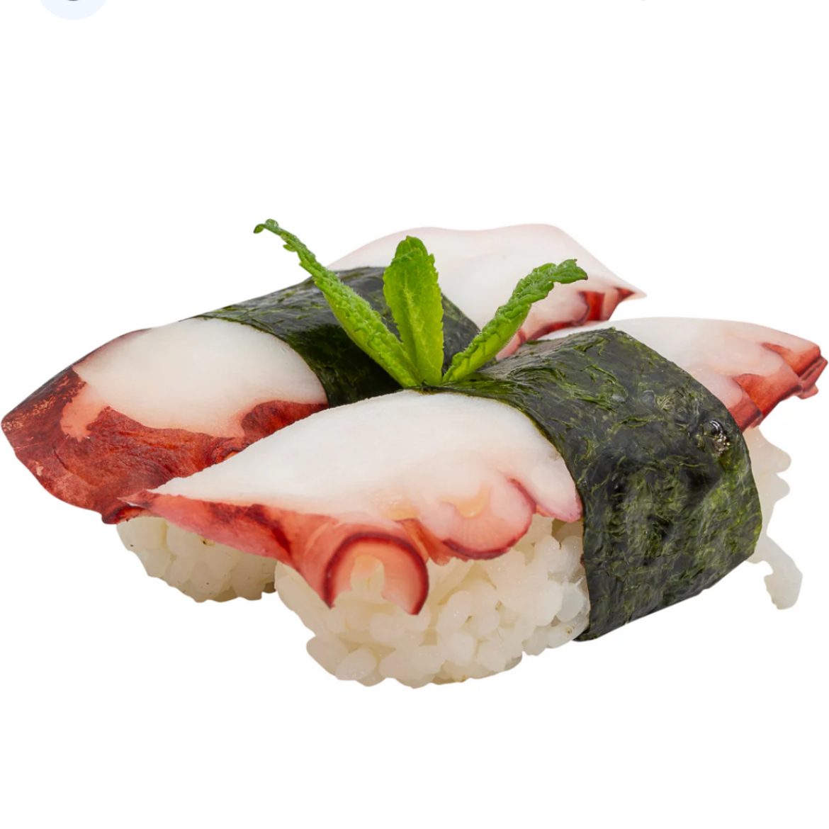 Octopus Sushi.